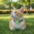 IOS 4G GPS Cat Tracker Collar