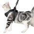 Cat Harness and Leash for Walking