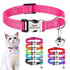 Personalized Name Cat Collar